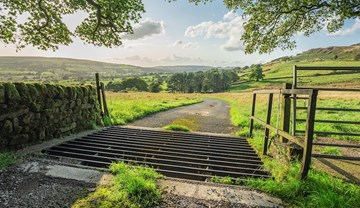 A road with a cattle grid going through farmland.